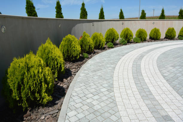 Best Driveway Paver Sealing  in Millport, AL