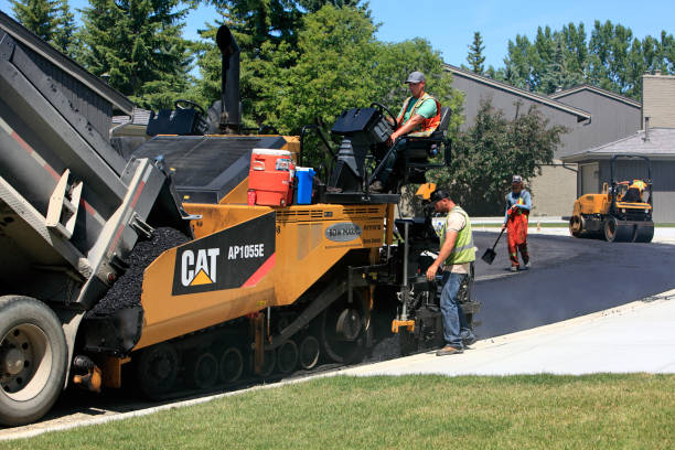 Best Driveway Pavers Contractor  in Millport, AL